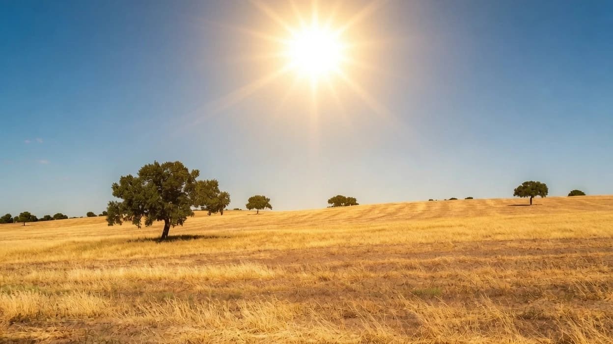 La nueva ola de calor llega hoy a España y complicará la lucha contra el fuego