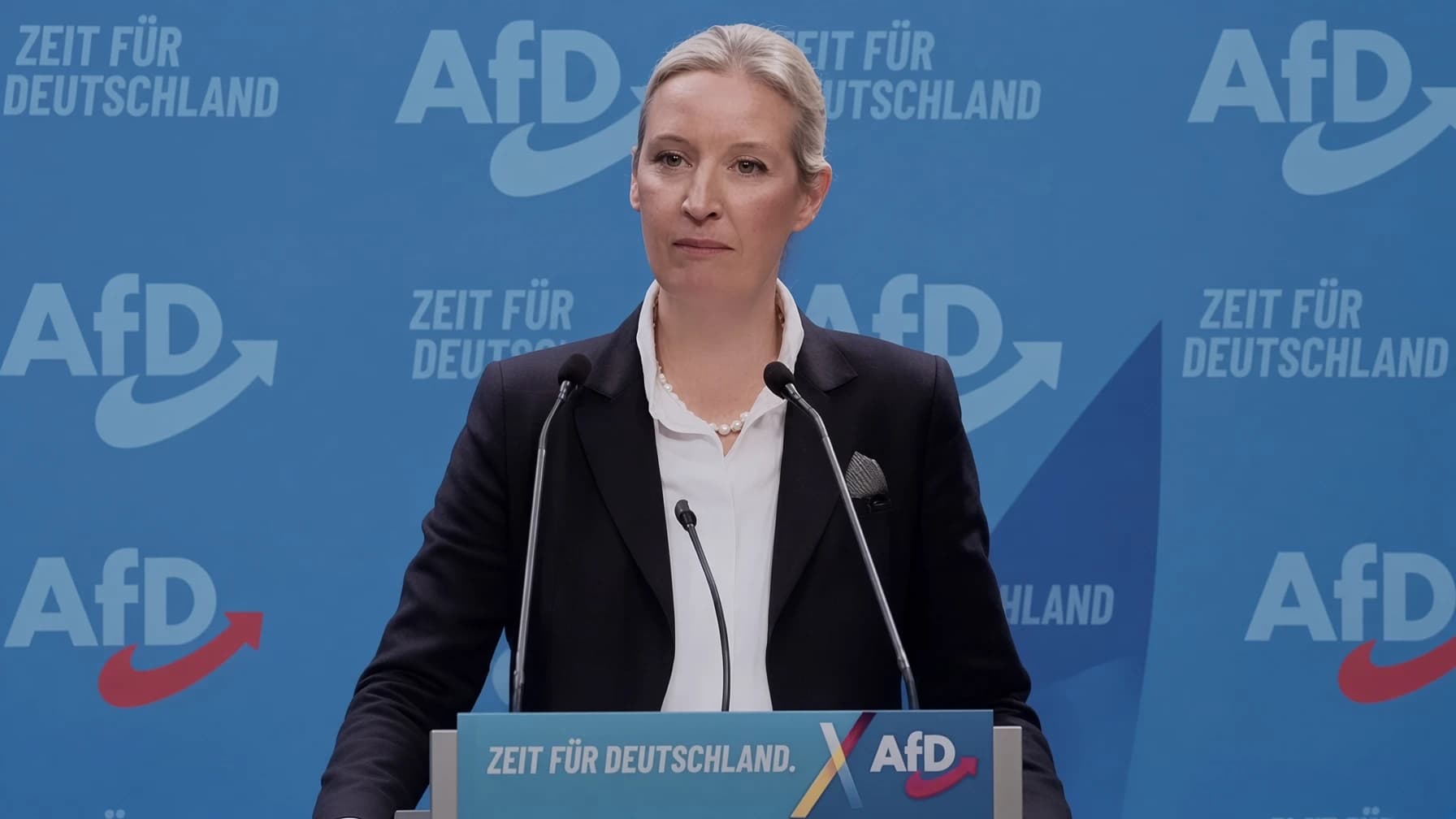 La AfD y el debate sobre la regeneración democrática en Alemania