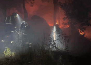 Extinguido un Incendio Forestal en Collado Mediano que Afectó Levemente a Tres Chalets