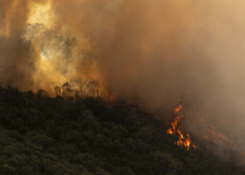Orense sufre el peor incendio del verano: 700 hectáreas calcinadas y un bombero herido