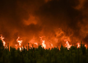 Francia frente a su mayor catástrofe forestal en 75 años: el incendio de Narbona arrasa más de 16.000 hectáreas