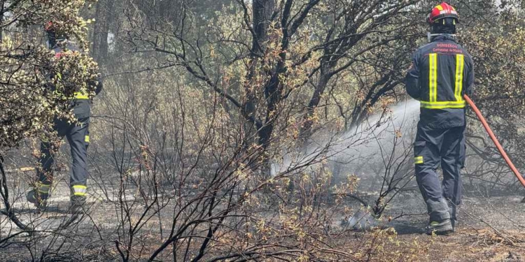 Madrid: Seis municipios declarados «zona catastrófica» por incendios forestales