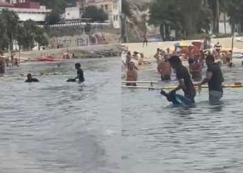 Dos inmigrantes alcanzan a nado una playa de Ceuta repleta de bañistas: «El goteo es diario»