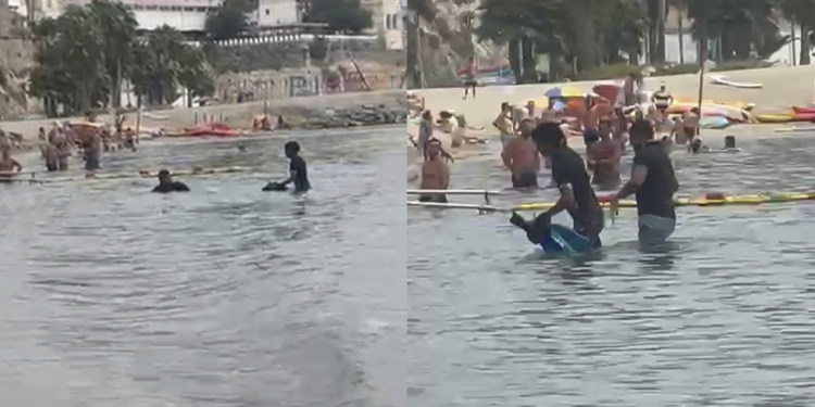 Dos inmigrantes alcanzan a nado una playa de Ceuta repleta de bañistas: «El goteo es diario»