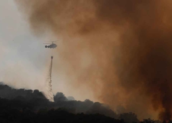 Siete detenidos por provocar incendios forestales en la Comunidad de Madrid