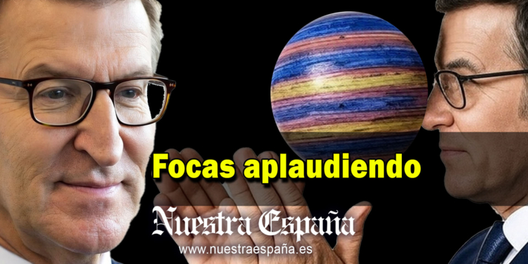 Focas aplaudiendo - diario Nuestra España, digital noticias