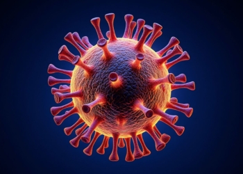 Alerta por el virus Nipah: La OMS advierte sobre su potencial como «próxima pandemia»