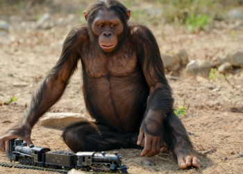 Caos ferroviario: una huelga a las puertas y Bruselas exigiendo cuentas por el uso de fondos europeos