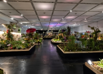 WOC world orchid conference españa gana plata Nuestra España Noticias