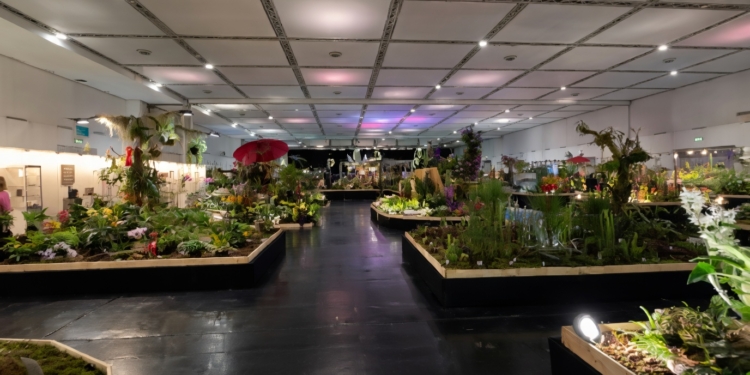 WOC world orchid conference españa gana plata Nuestra España Noticias