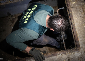 LA policía Nacional y la Guardia civil detienen a 17 personas en una operación contra el narco