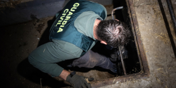 LA policía Nacional y la Guardia civil detienen a 17 personas en una operación contra el narco