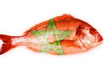 Pescado rojo con una estrella verde superpuesta de la bandera de Marruecos sobre fondo blanco.