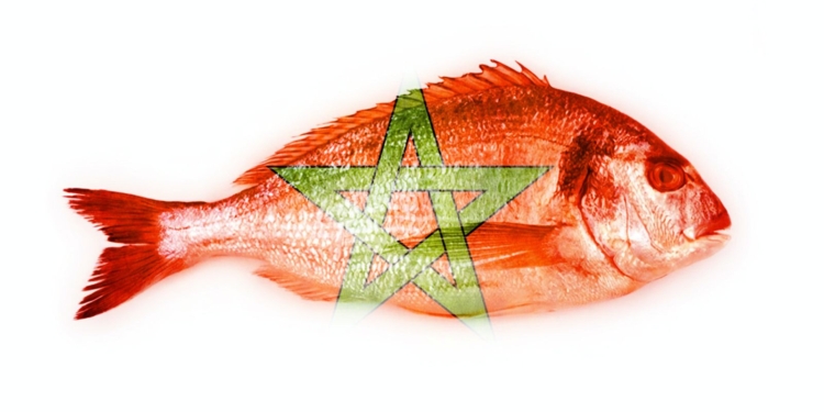 Pescado rojo con una estrella verde superpuesta de la bandera de Marruecos sobre fondo blanco.