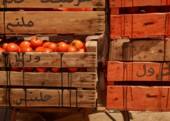 Cajas de madera apiladas llenas de tomates rojos, con inscripciones en árabe pintadas en los laterales y manchas oscuras sobre la madera.
