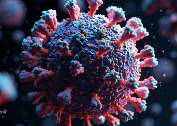 Hantavirus la nueva psicosis