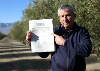 Hombre sostiene un documento del Boletín Oficial del Estado en medio de un cultivo de olivos.