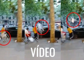 Cataluña sin ley: 4 nuevos episodios de violencia. Secuencia de tres fotogramas de un vídeo en la calle donde una persona con camiseta amarilla lanza o manipula un objeto blanco junto a un árbol y un coche negro.